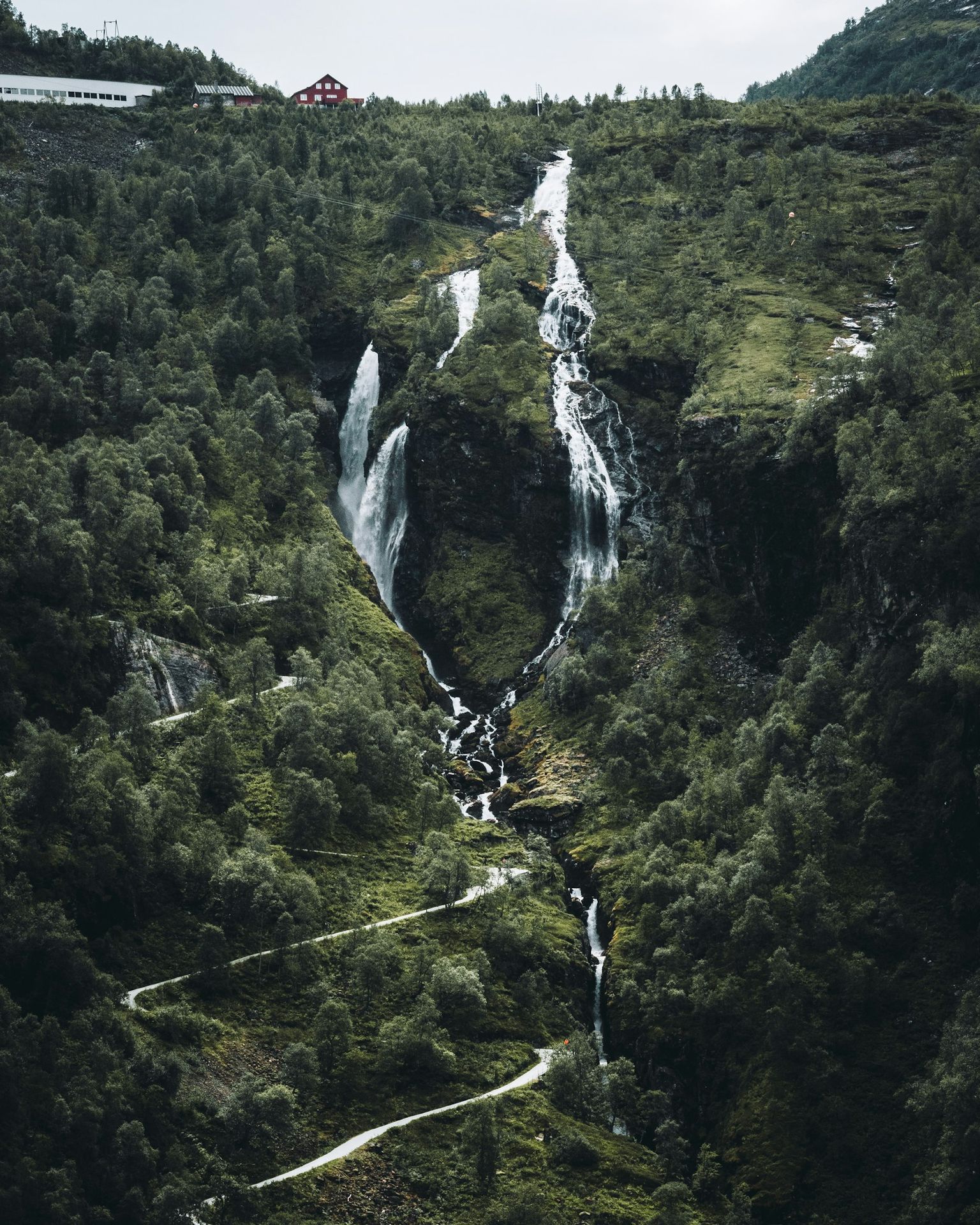 A waterfall in the middle of a forest